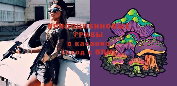кокс Михайлов