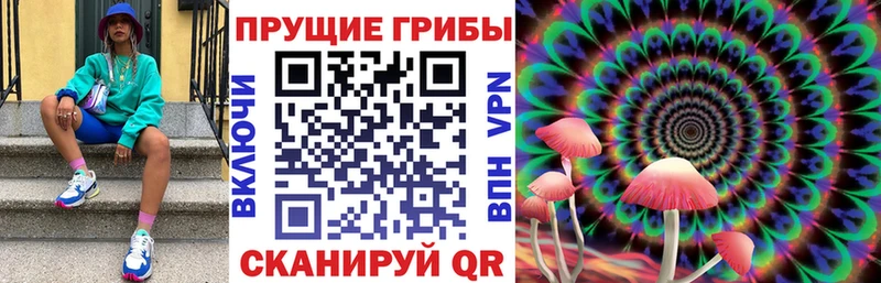 где купить наркотик  Камешково  Псилоцибиновые грибы мицелий 